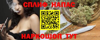 шишки Камышлов