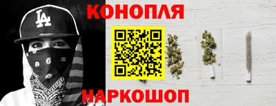 шишки Камышлов