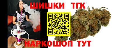 шишки Камышлов
