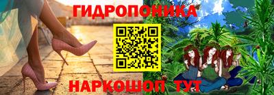 шишки Камышлов