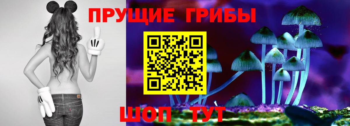 Псилоцибиновые грибы ЛСД  Галлюциногенные грибы Psilocybe  Глазов  Вход с VPN 